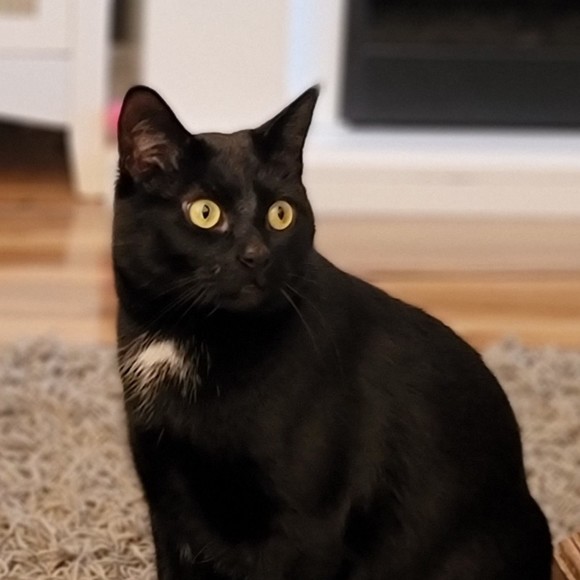 Meet your Posher, Stacey - Picture 1 of 1